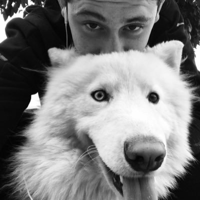 Profile Picture of Luis Alfonso (@luisnegretti29) on Twitter