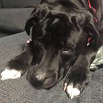 Profile Picture of Alex Knudson (@alexknudson053) on Instagram