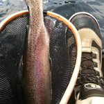 Profile Picture of Brad Sprague (@bradsprague13) on Instagram