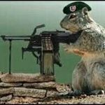 Profile Picture of Jeremy Michael Teo Schmidt (@jeremymichaelteo) on Instagram