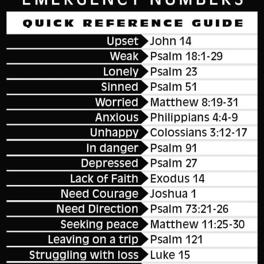 josephellis7337 - Tiktok Profile Picture of josephellis7337 (@josephellis7337) on Tiktok