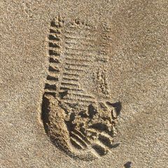 Profile Picture of Stephen Costin (@stephencostin) on Tiktok