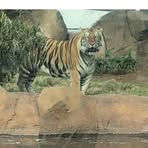 Profile Picture of Howard Helms (@howard.helms.92) on Facebook