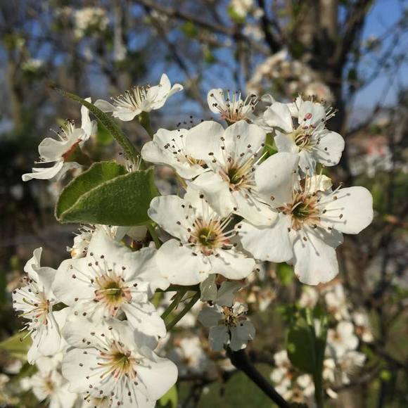 Profile Picture of Shannon Kempfer (@shannon_kempfer) on Poshmark