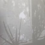 Profile Picture of Jamie Hahn (@jamiehahnstudio) on Instagram