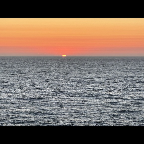 Profile Picture of Joni Torrey (@joni_torrey) on Poshmark