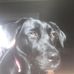 Profile Picture of Sammy Vue (@sammy.vue.96) on Facebook