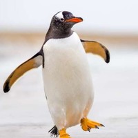 Profile Picture of Victor Manzella Iii (@victor-manzella-iii) on Quora