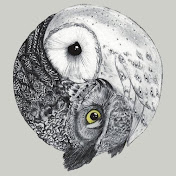 Hannah Dickenson - Youtube Profile Picture of Hannah Dickenson (@hr8nighteagle544) on Youtube