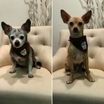 Profile Picture of Chloe Dexter (@Chloe-Dexter) on Facebook