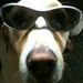 Profile Picture of Chad Gillespie (@nxpress) on Pinterest