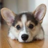 Profile Picture of Benjamin Fink (@bfink0367) on Pinterest