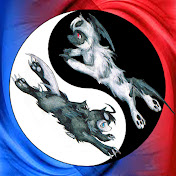 Profile Picture of Jonathan Sun (@jonathansun6917) on Youtube