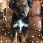 Profile Picture of Debbie Archambault (@darchambaultconseillere) on Instagram