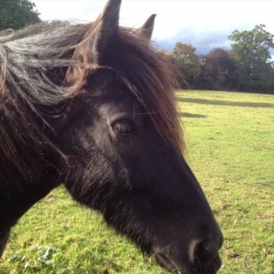 Profile Picture of Daniella M Mitchell (@dmitchell0070) on Twitter