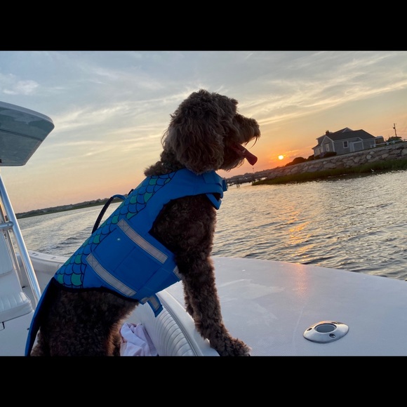 Profile Picture of Tess Kelly (@tesskellyyy) on Poshmark