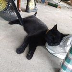 Profile Picture of Travis Wooldridge (@travismusiclifeisawesome) on Instagram