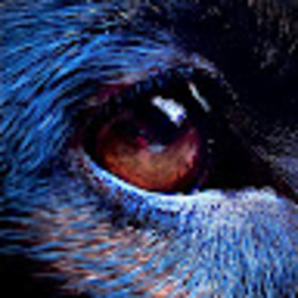 Profile Picture of Noel Mathew (@noelmathew137) on Poshmark