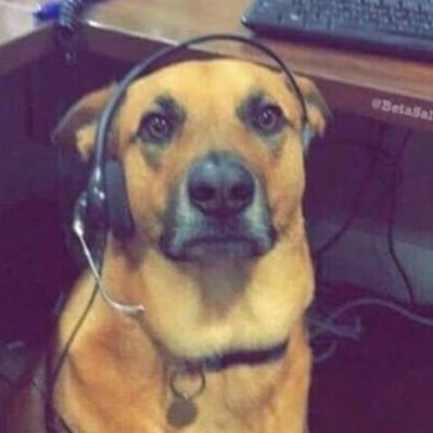 Profile Picture of ScottSpies (@ScottSpies) on Twitter