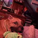 Profile Picture of Autumn Grace Hobbs (@autumngrace.hobbs) on Facebook