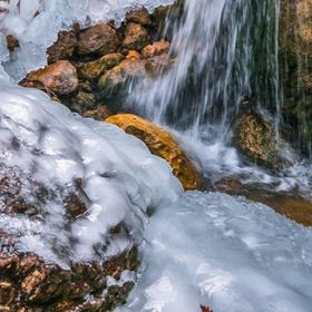 Profile Picture of Sheree Schwartz (@guillerminalf) on Pinterest