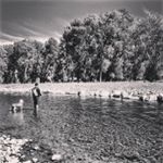 Profile Picture of Chance Sheridan (@brooktroutbobby307) on Instagram