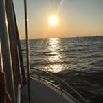 Profile Picture of William Bowles (@bbowles404) on Instagram