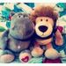 Profile Picture of Cathy Hsu (@cathyhsu) on Pinterest