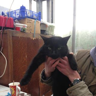 Profile Picture of Geoff Sapsead (@geoff.sapsead.5) on Facebook