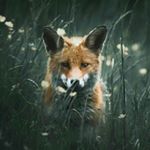 Profile Picture of Keith (@dark.shade) on Instagram