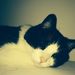 Profile Picture of Amanda Liby (@amliby) on Pinterest