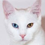 Profile Picture of Rachael Herd (@rachael.herd.1) on Facebook