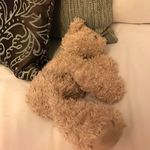 Profile Picture of Suzanne Bailey (@suzannebailey2008) on Instagram