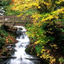 Profile Picture of Asma Khoogar (@soheylastar222) on Twitter