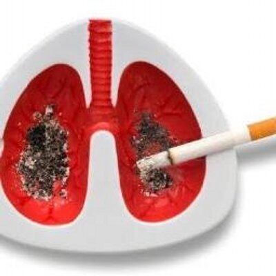 Joe Blogs - Twitter Profile Picture of Joe Blogs (@Environ_Mente) on Twitter