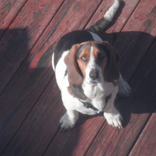 Profile Picture of Chloe Inman (@chloe.inman.75) on Facebook