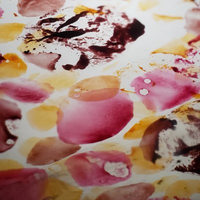 Profile Picture of Eva Schmid (@EvaSchmid7) on Twitter