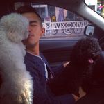 Profile Picture of stephenyuan (@stephenyuan) on Instagram