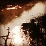 Profile Picture of Kyle Prosser & Hunter Brown (@sitka_drake_droppers) on Instagram