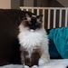 Profile Picture of Vicky Boyce (@vicboy) on Pinterest