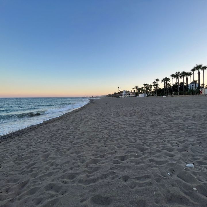 Profile Picture of michaelswitzerr (@michaelswitzerr) on Tiktok