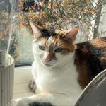 Profile Picture of Dontay Brown (@dontaynew) on Instagram