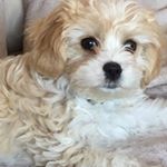 Profile Picture of Raymond Hepburn (@hepburn3781) on Instagram