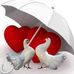Profile Picture of Richard Haid (@richard.haid.35) on Facebook