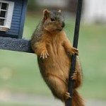 Profile Picture of Doug Dillon (@doug_dillon711) on Instagram