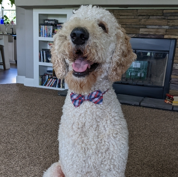 Profile Picture of Mandi Jacobsen (@mandimsen) on Poshmark