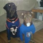 Profile Picture of Cody Ulland (@codyulland) on Instagram