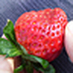 Profile Picture of @eper@ (@@eper@) on Flickr