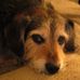 Profile Picture of Jennifer Tresp (@jennifer.tresp.50) on Facebook