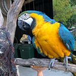 Profile Picture of Jeffrey Vella (@jeffrey.vella.12) on Instagram